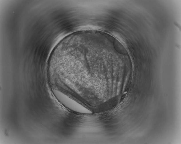 X0000096471008200802211146