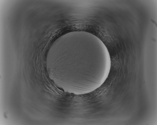 X0000096471009200802211145