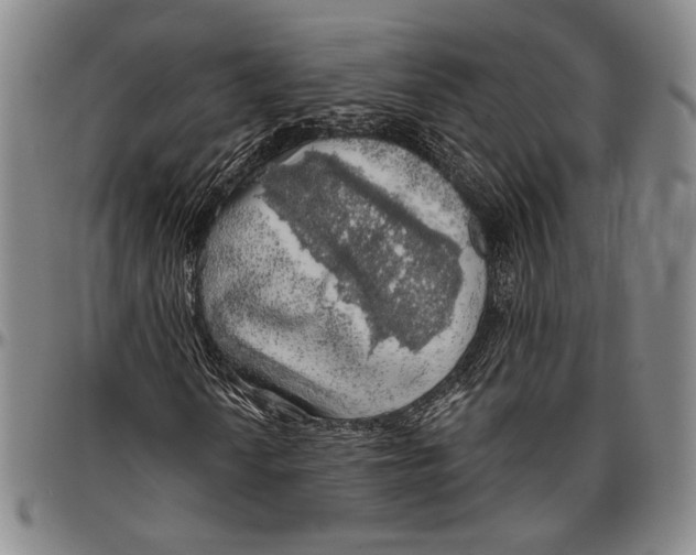 X0000096471010200802211145