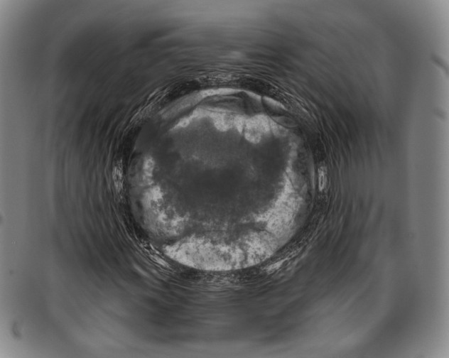 X0000096471011200802211145