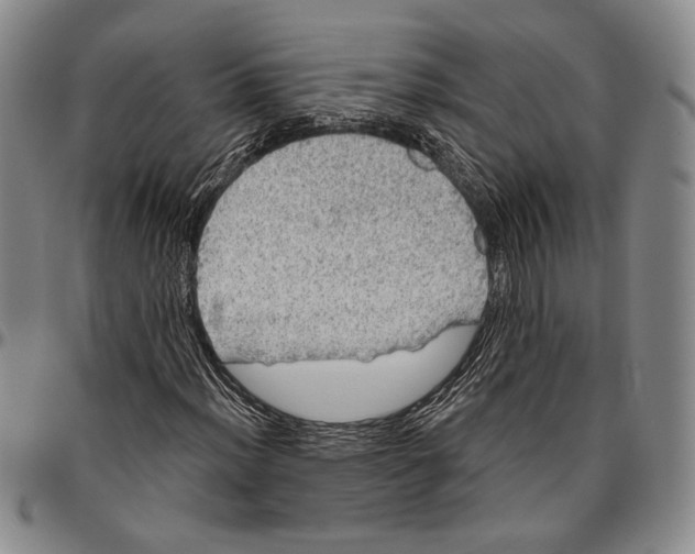 X0000096471012200802211145