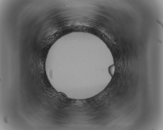 X0000096471013200802211145