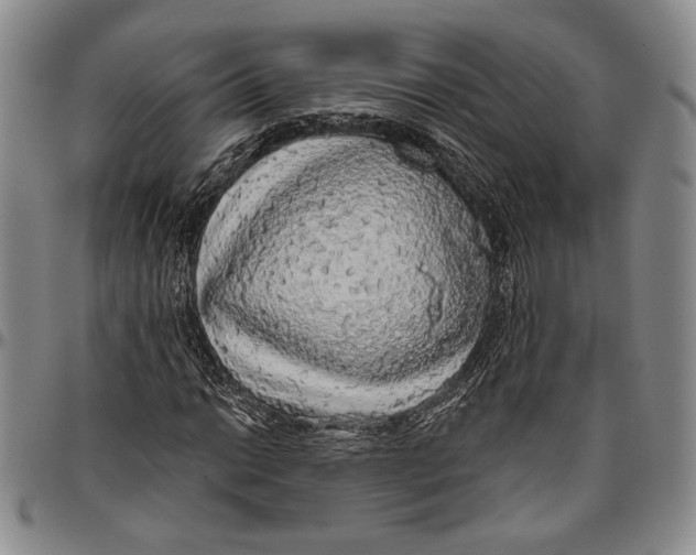 X0000096471014200802211145