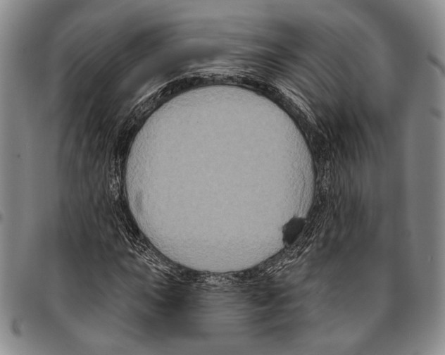 X0000096471015200802211145