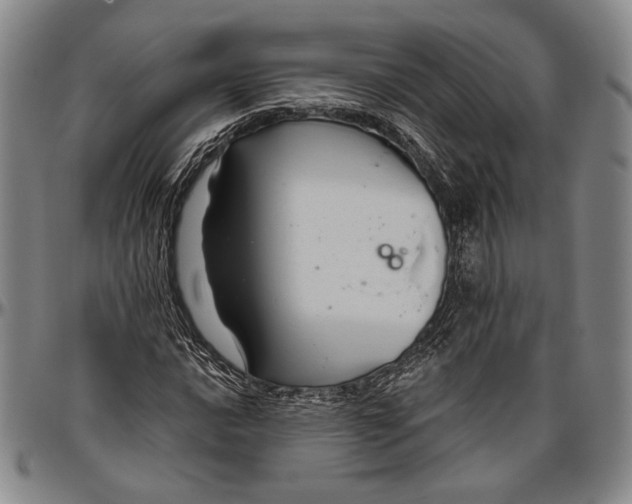 X0000096471016200802211145