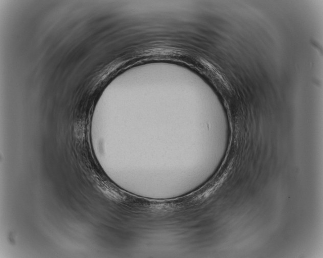 X0000096471017200802211145