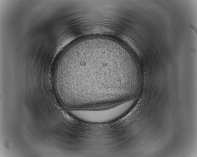 X0000096471018200802211145