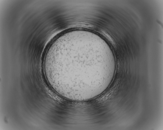 X0000096471020200802211145