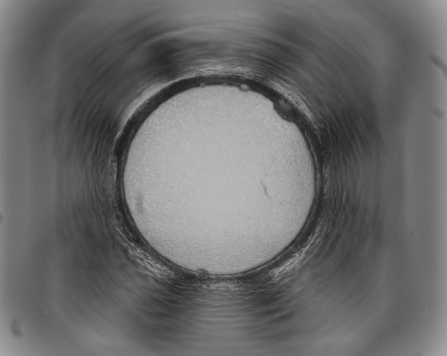 X0000096471021200802211145