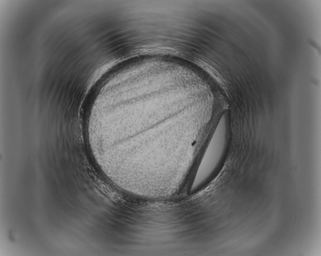 X0000096471022200802211145