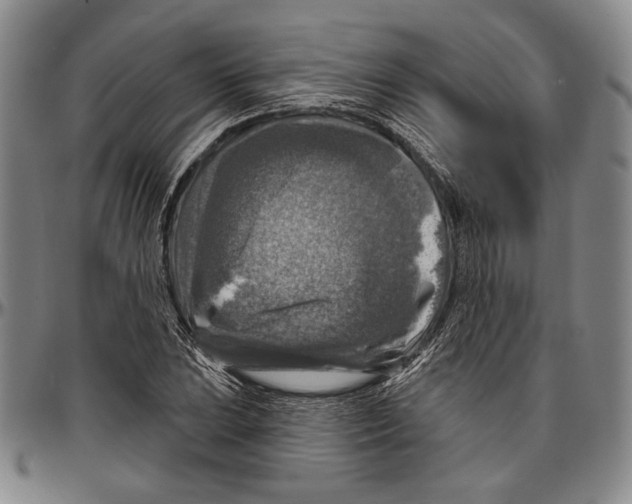 X0000096471023200802211145