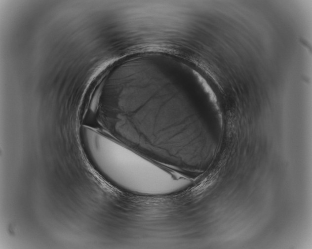 X0000096471024200802211145