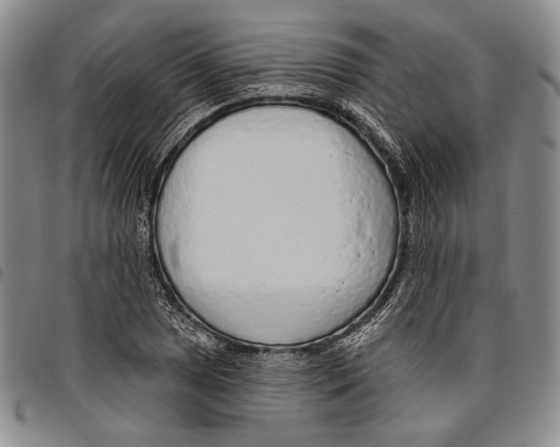 X0000096471025200802211145