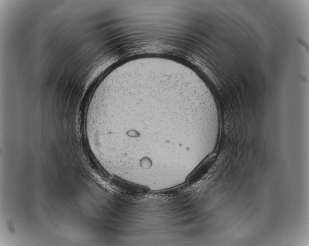 X0000096471026200802211145