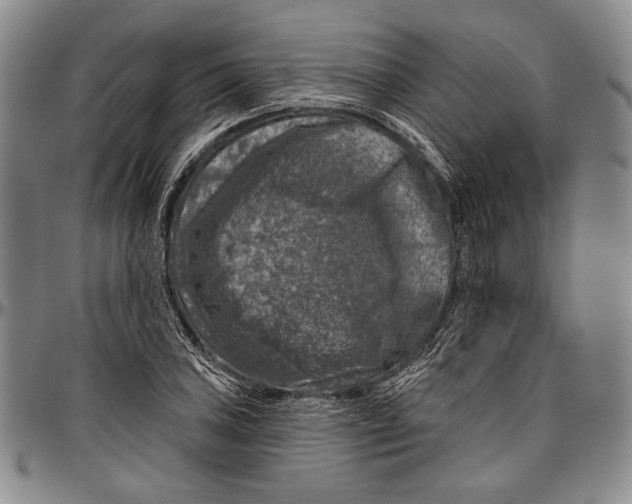 X0000096471027200802211145