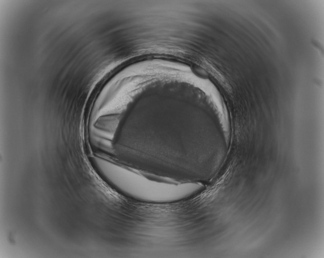 X0000096471028200802211145