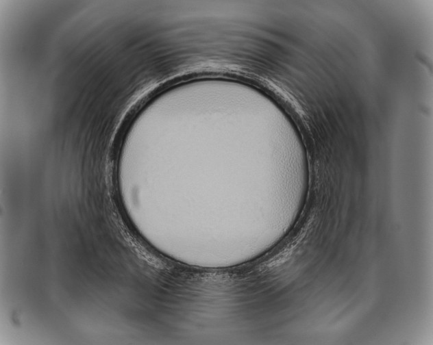 X0000096471029200802211145