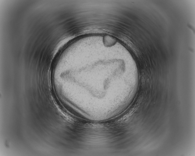 X0000096471030200802211145