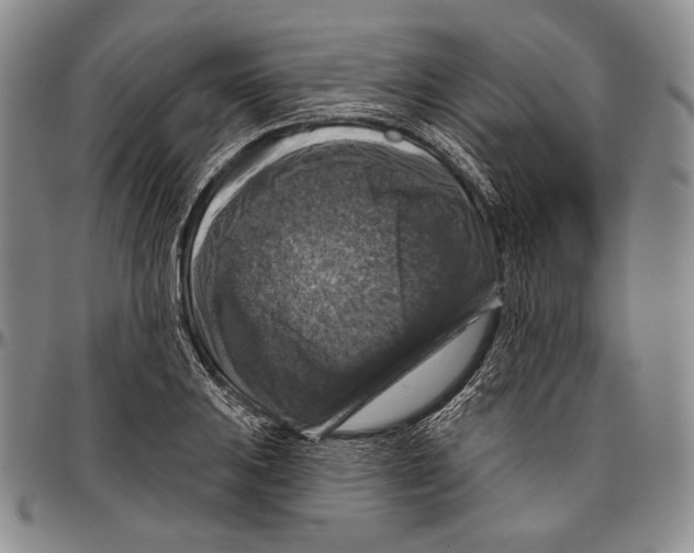 X0000096471031200802211145