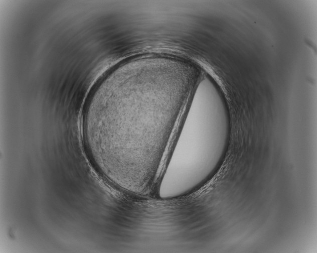 X0000096471032200802211145