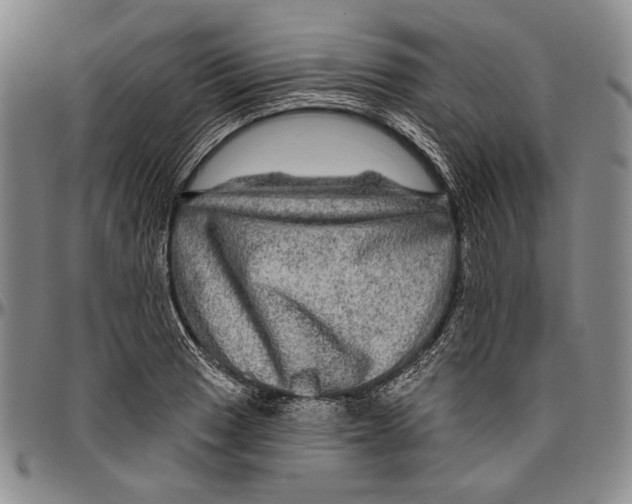 X0000096471033200802211145