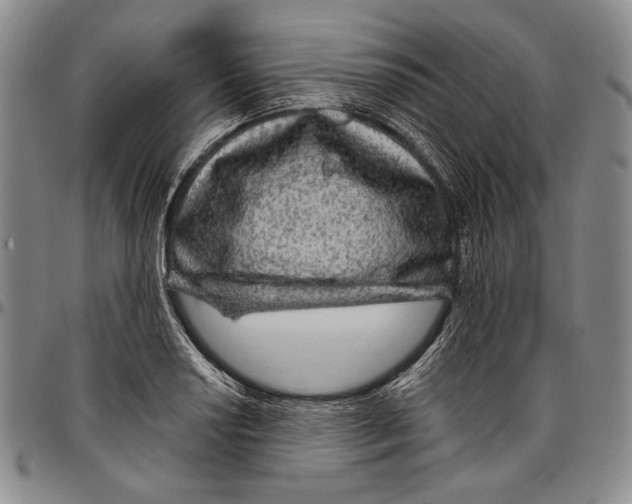 X0000096471034200802211145