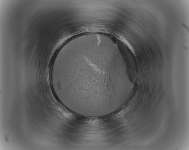 X0000096471035200802211145