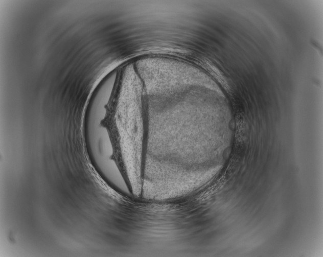 X0000096471036200802211145