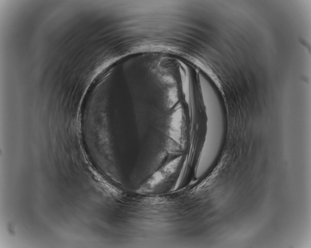 X0000096471037200802211145