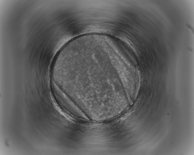 X0000096471038200802211145