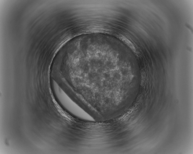 X0000096471039200802211145