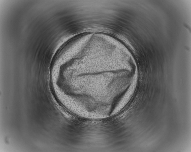 X0000096471040200802211145