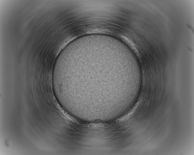 X0000096471041200802211145