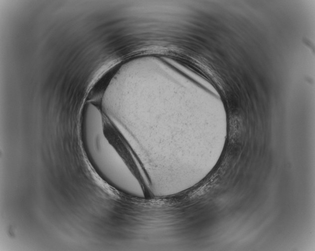 X0000096471042200802211146