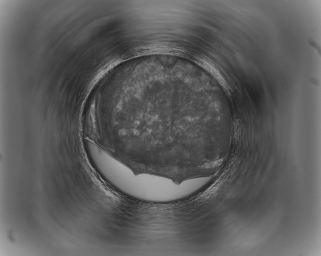 X0000096471043200802211146