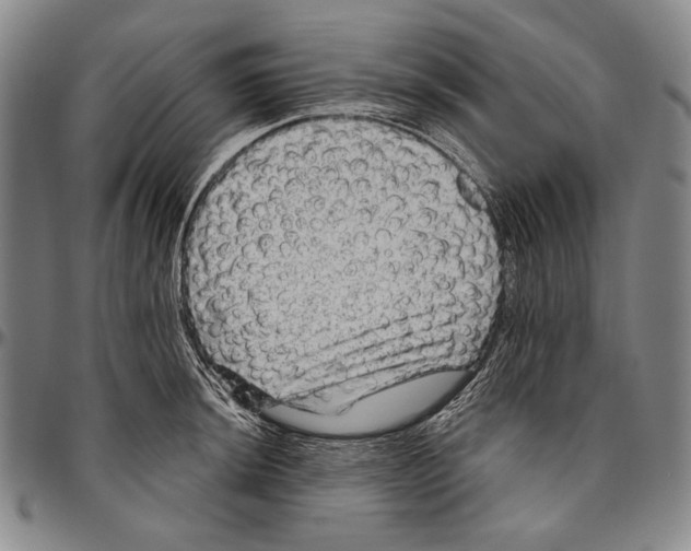 X0000096471044200802211146