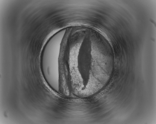 X0000096471045200802211146