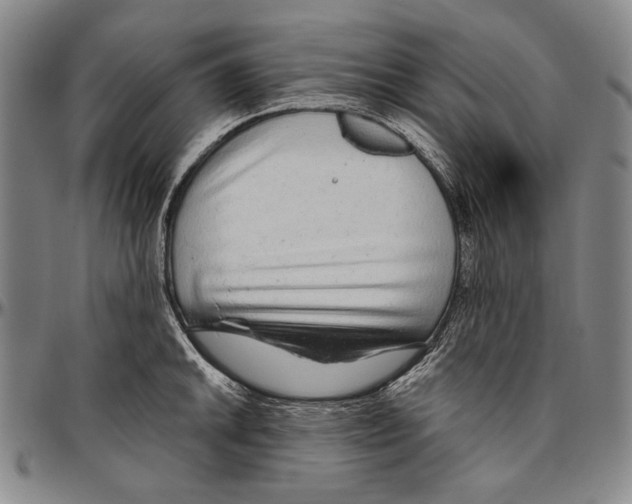 X0000096471046200802211146