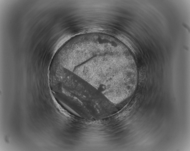 X0000096471047200802211146