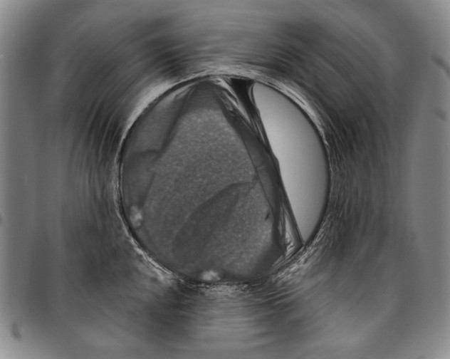 X0000096471048200802211146