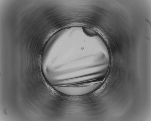 X0000096471049200802211146