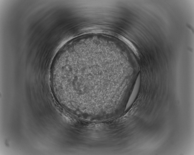 X0000096471051200802211146