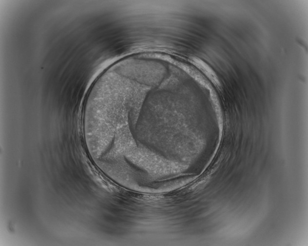 X0000096471052200802211146