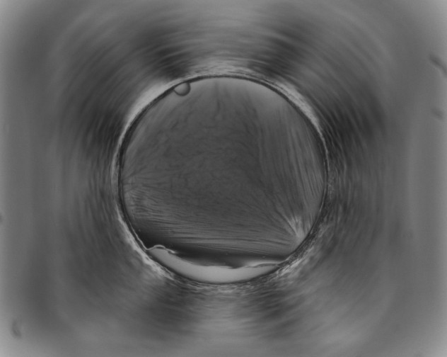 X0000096471053200802211146