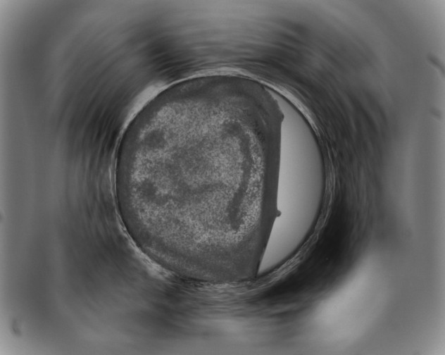 X0000096471054200802211146