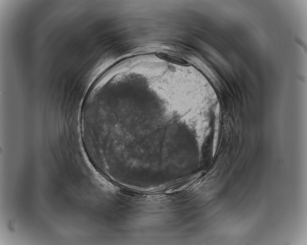 X0000096471055200802211146