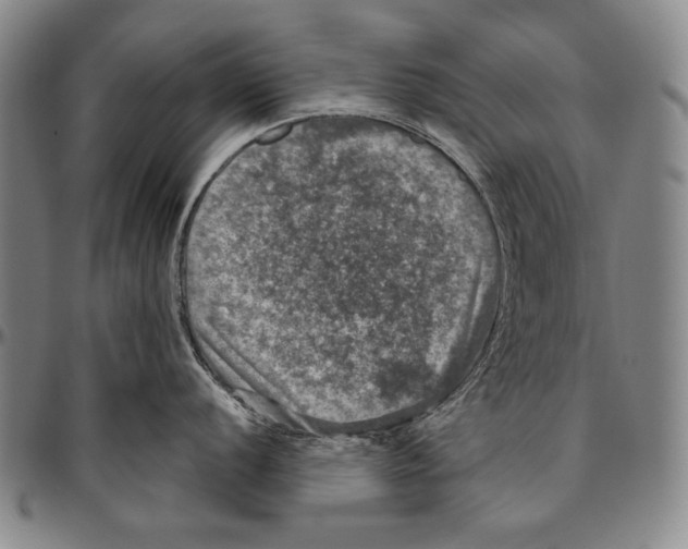 X0000096471056200802211146