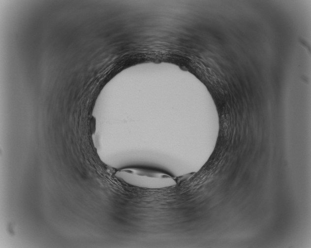 X0000096471057200802211145