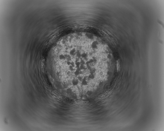 X0000096471059200802211145