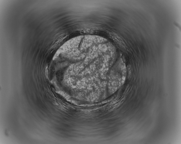 X0000096471060200802211145